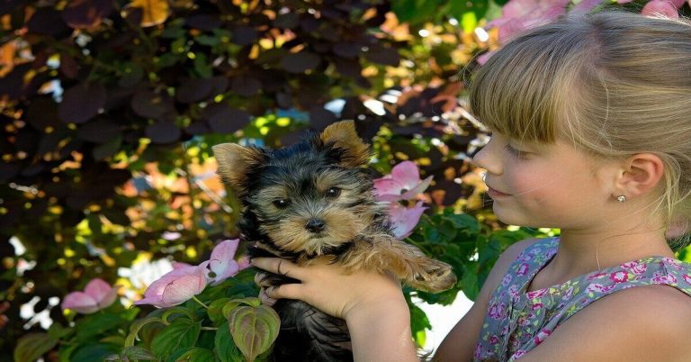 Welke hond past bij mij
