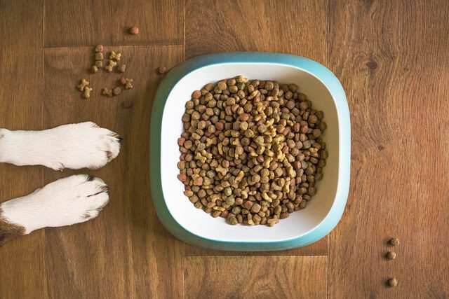 voerbak voor hond