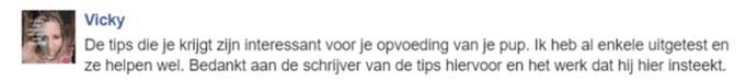 Chihuahua Handboek Review ervaring 1