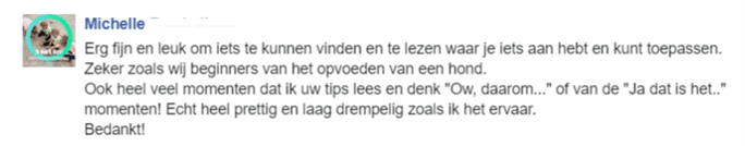 Chihuahua Handboek ervaring