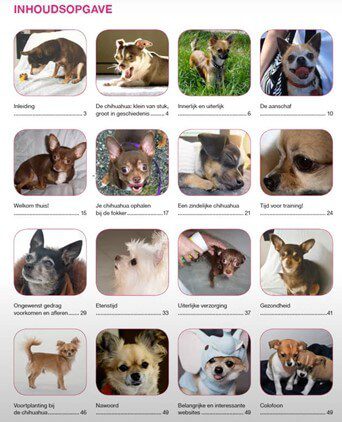 Chihuahua Handboek inhoudsopgave