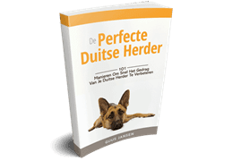 perfecte duitse herder