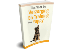 verzorging en training puppy