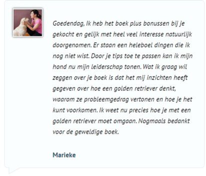 Golden Retriever Geheimen review 1