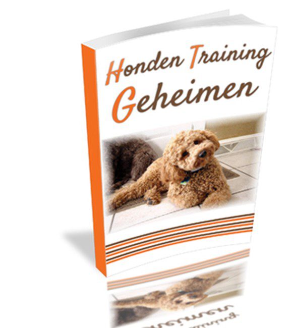 Honden Training Geheimen