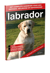 Labrador Handboek