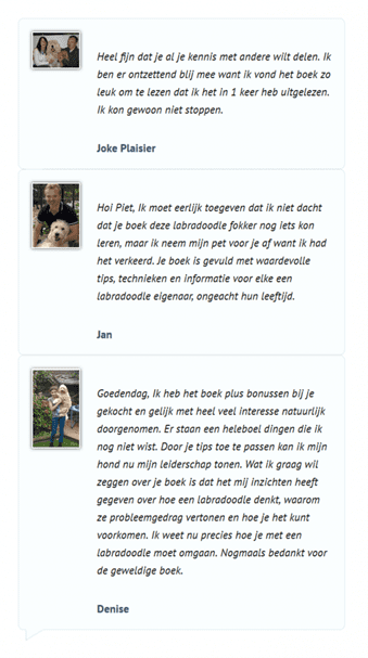 reactie lbnradoodle 3