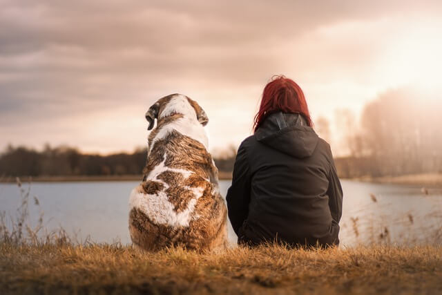 Gezondheidsspecial hond en parasieten