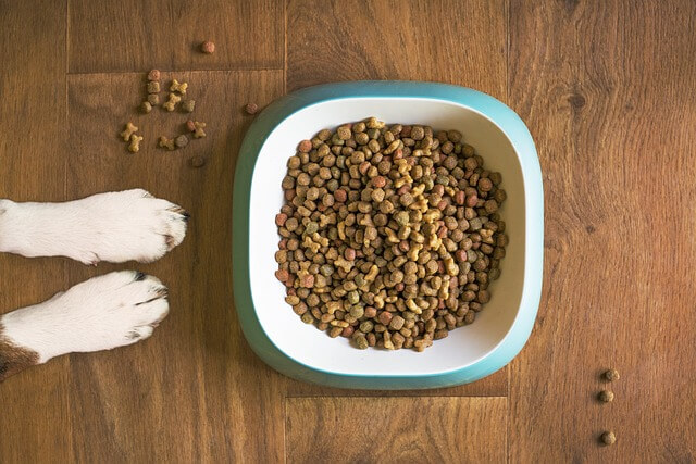 OntgiftenVanJeHond